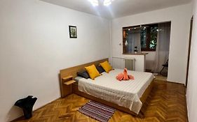 Miha Modern And Central Apartament Malul Muresului