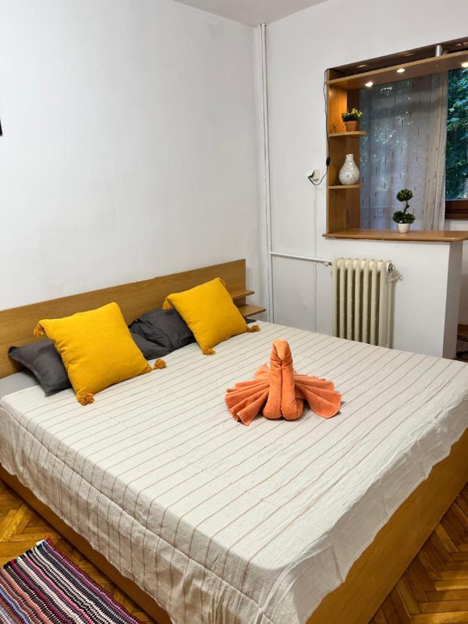Miha Modern And Central Apartament Malul Muresului Arad Exterior foto